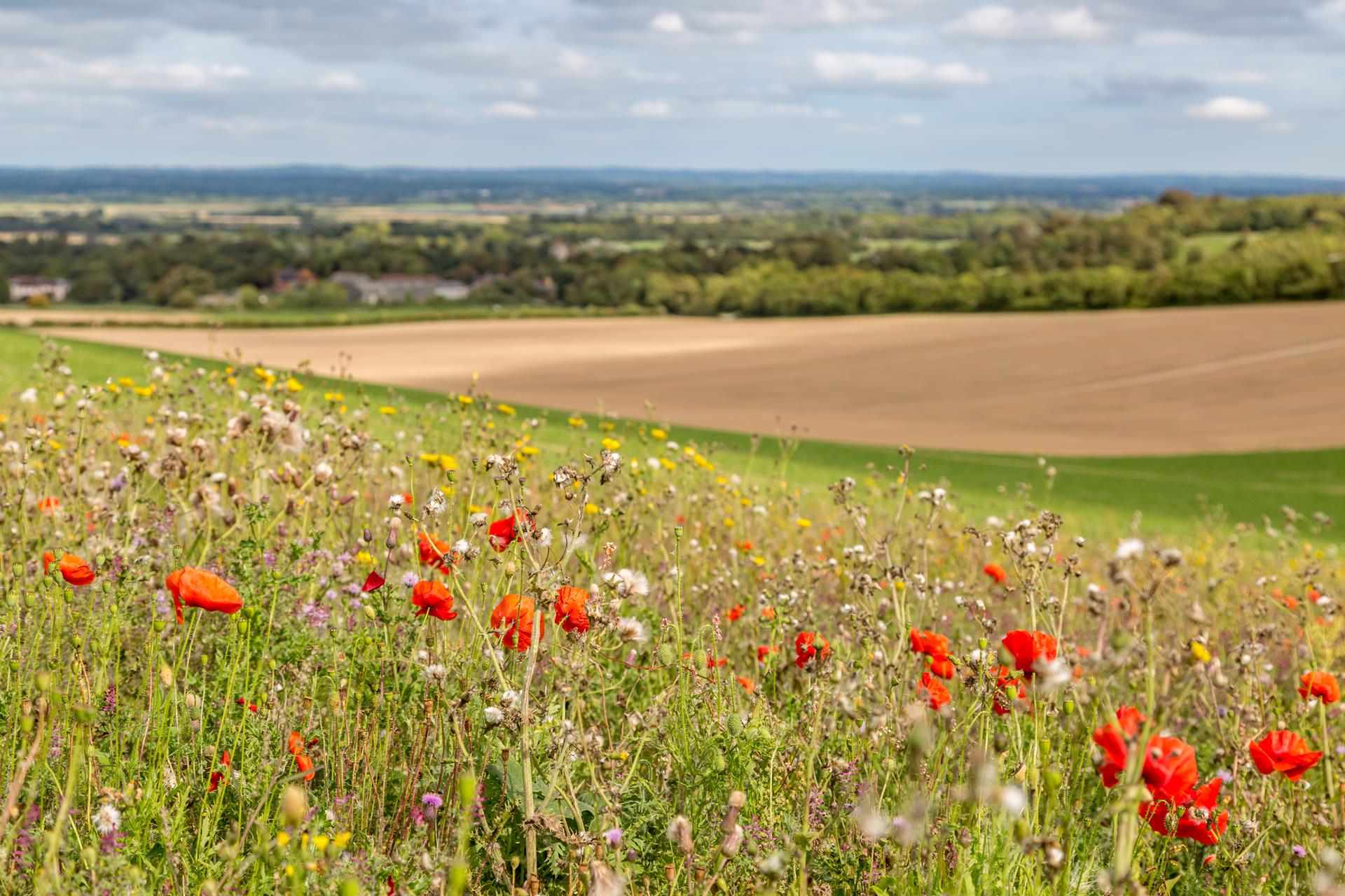 Higher Tier Countryside Stewardship – Open for Applications