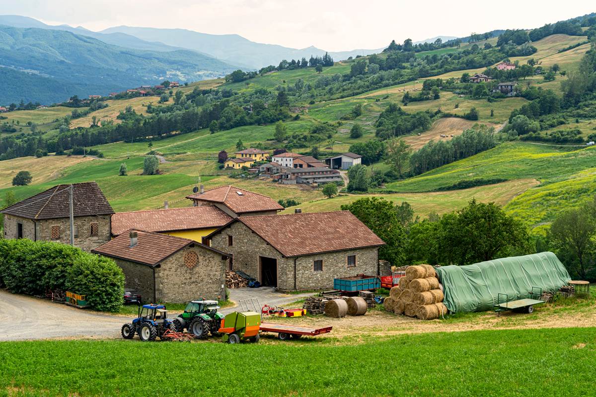 A collection of farm operations in Italy