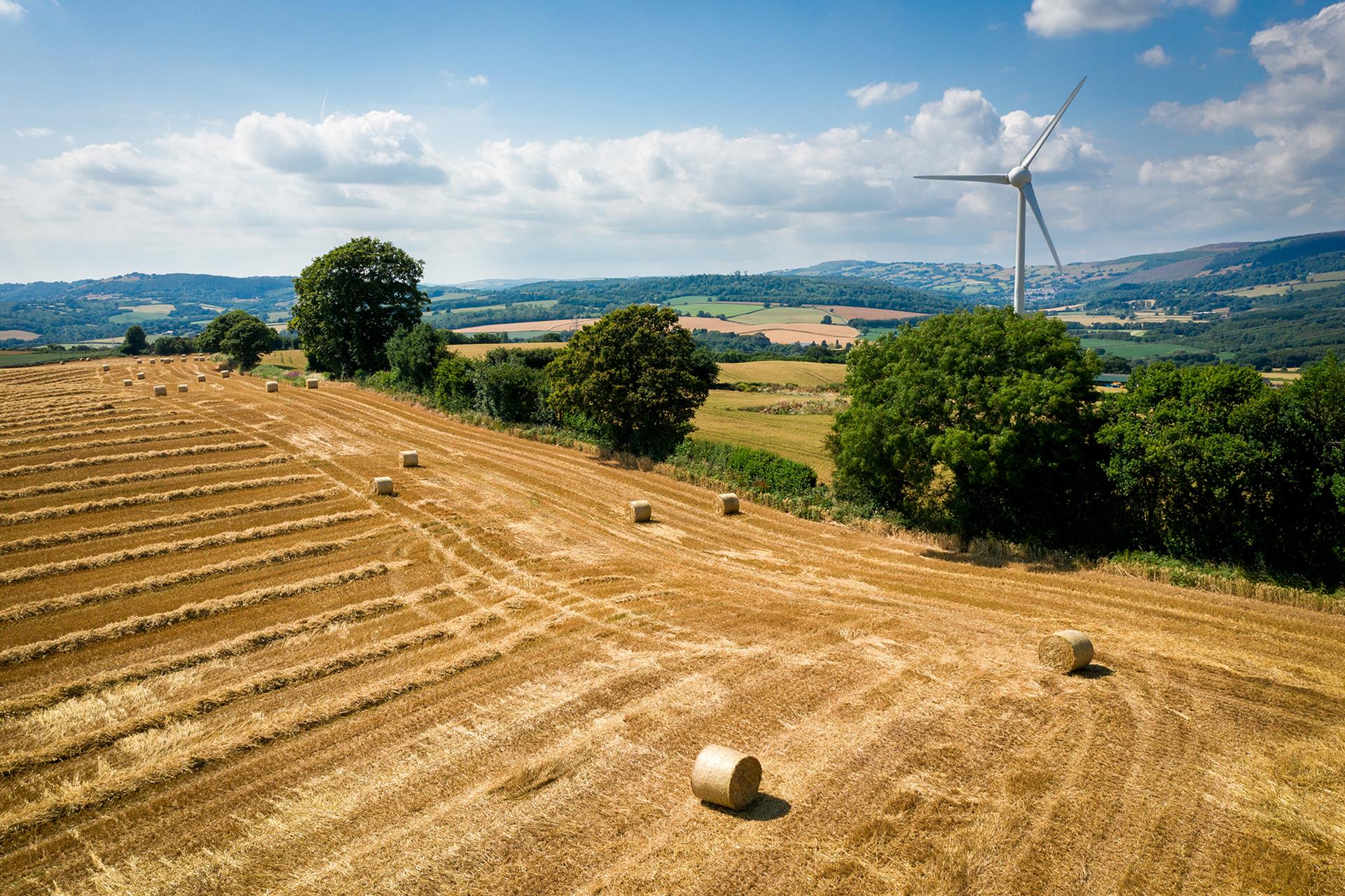 Quarterly Agricultural Update | Q1- Q2 2024