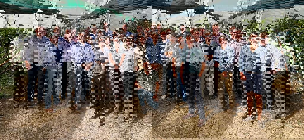 Agri-Business Consultancy Portugal Study Tour October 2022