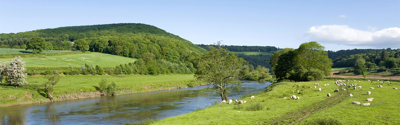 Welsh Government confirms Sustainable Farming Scheme – launching January 2026