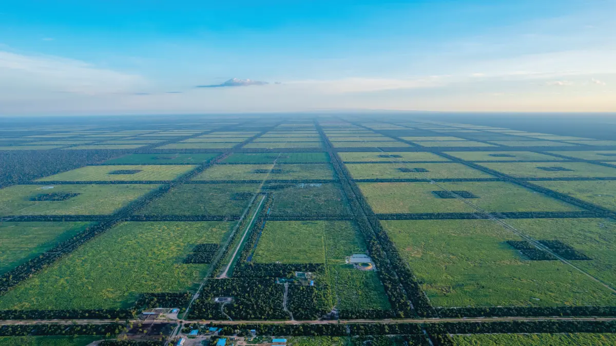 44,000 Ha Investment Opportunity Available in Paraguay