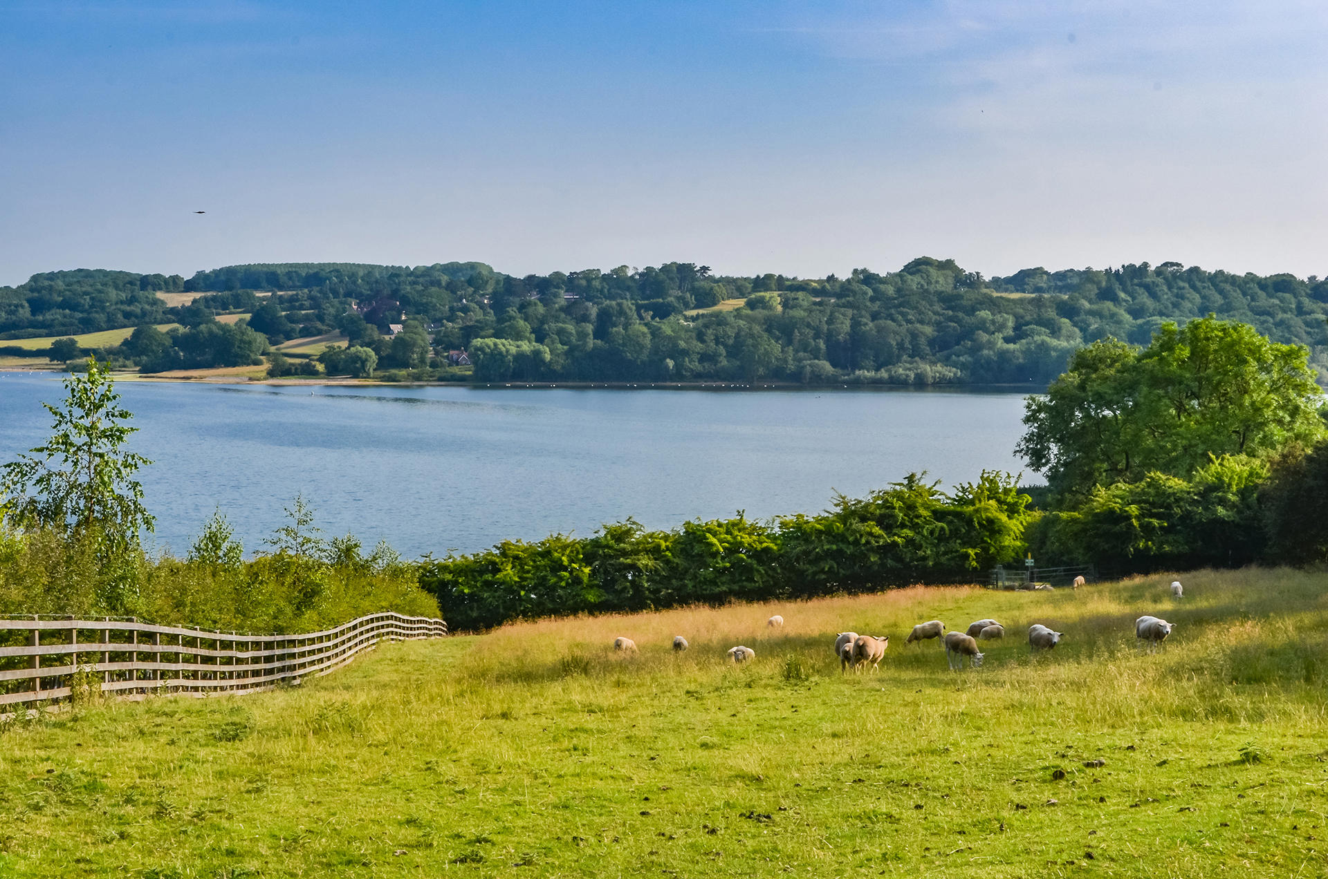 Could water security become the next differentiator in farmland value?