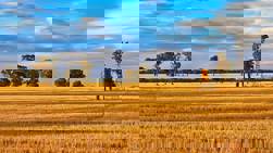 Global demand for farmland in 2024