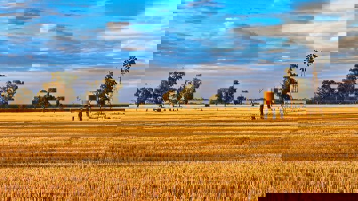 Global demand for farmland in 2024