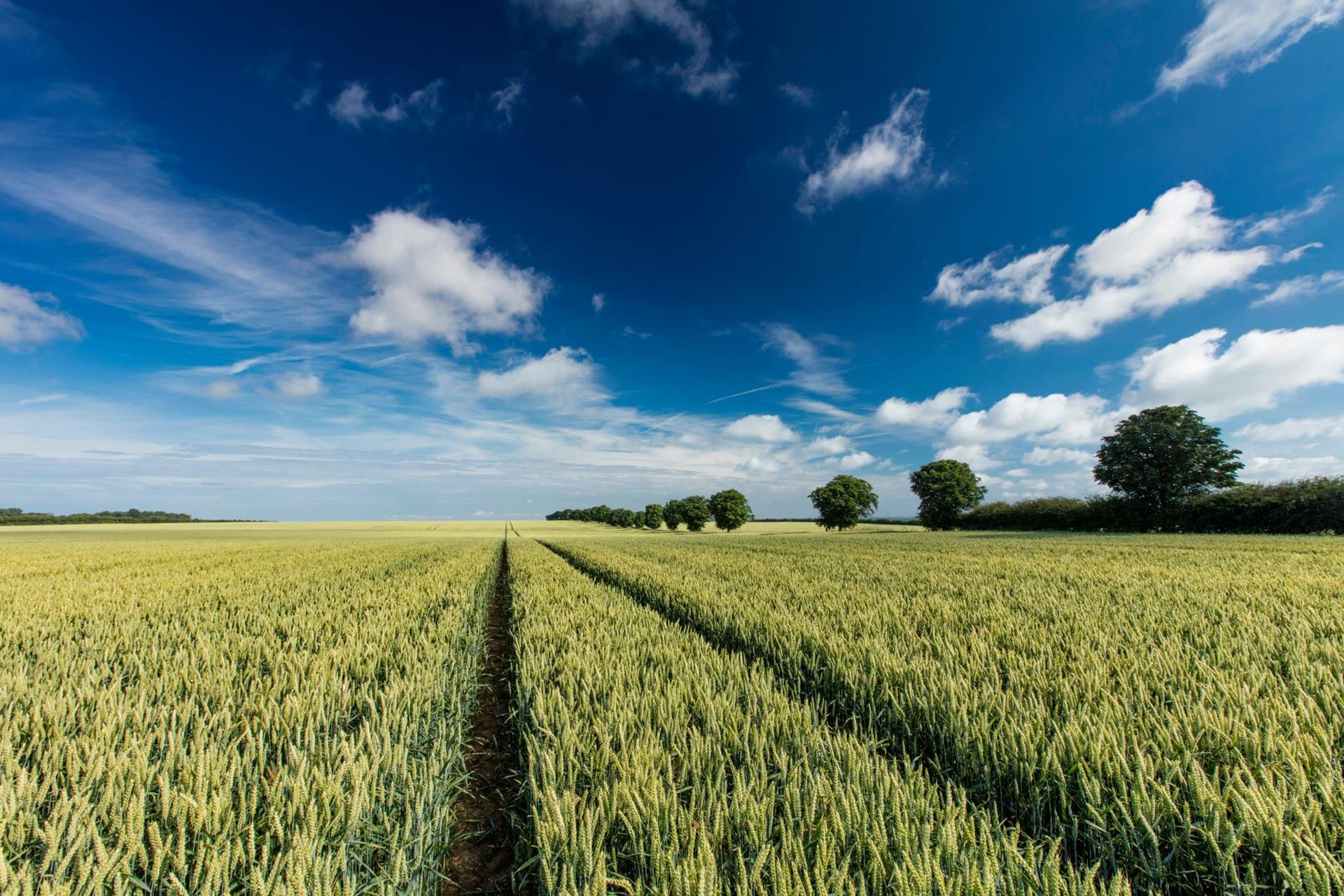 Want to know more about Farming Investment Fund Grants?