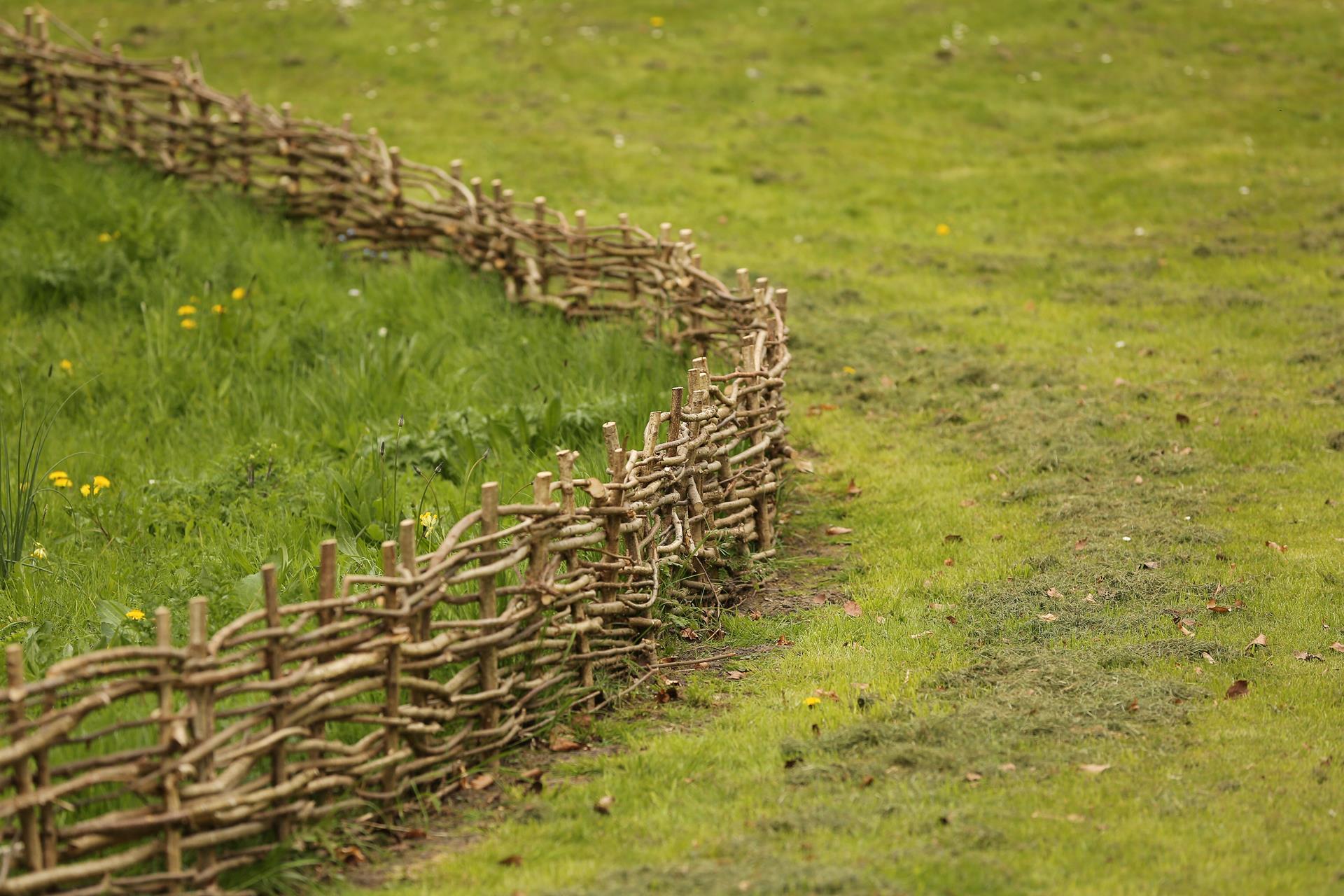 Farmers could secure up to £60,000 in capital grants for environmental improvements