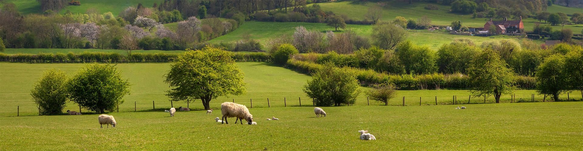 Quarterly Agricultural Update | January 2026 - March 2026