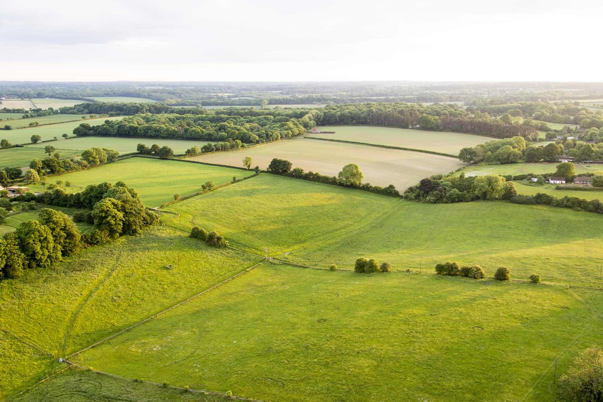A strategic approach to farm sales