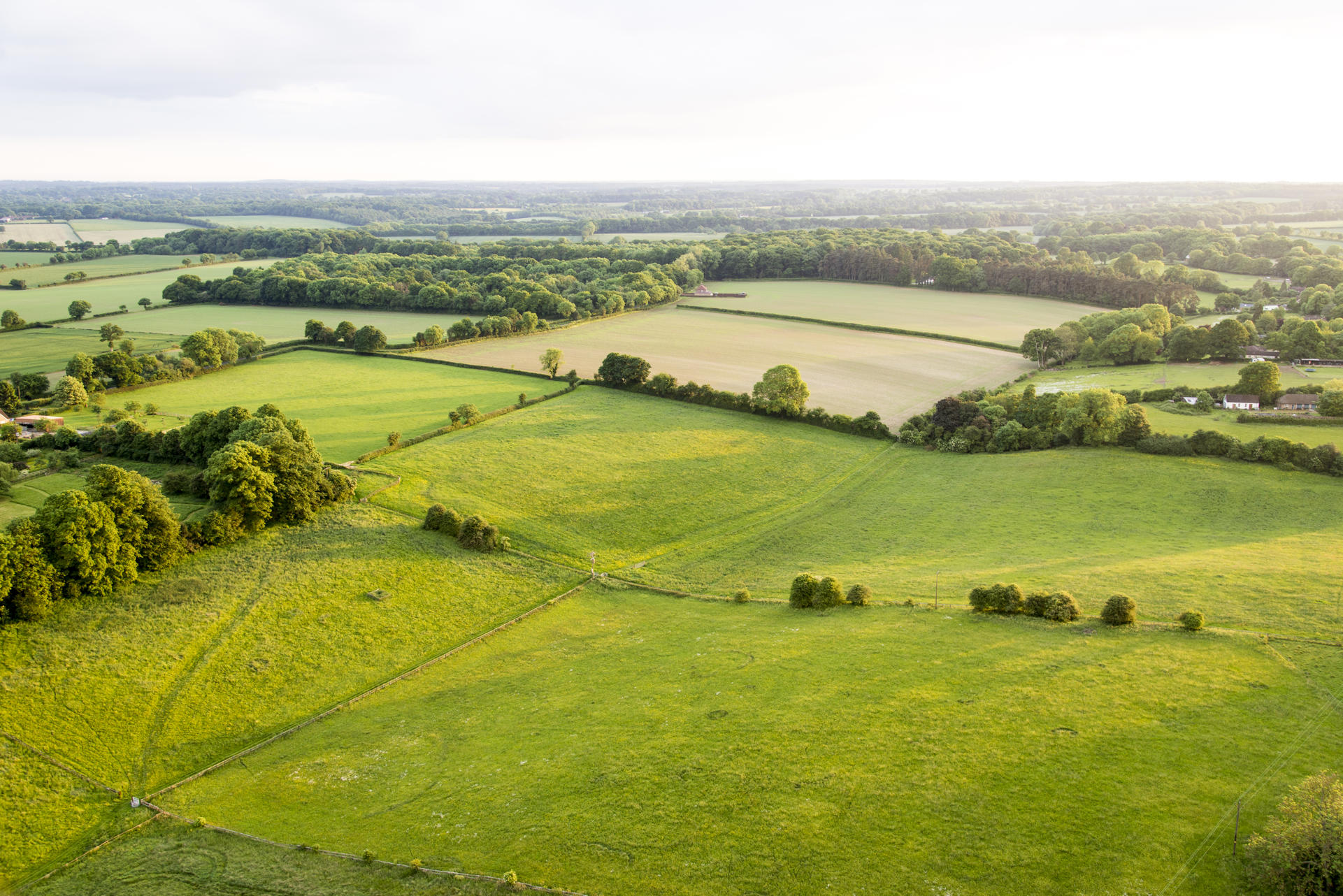 A strategic approach to farm sales