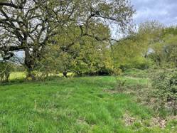 Demand for small plots of land see two go under hammer for up to £166,000 over guide price