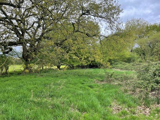Demand for small plots of land see two go under hammer for up to £166,000 over guide price