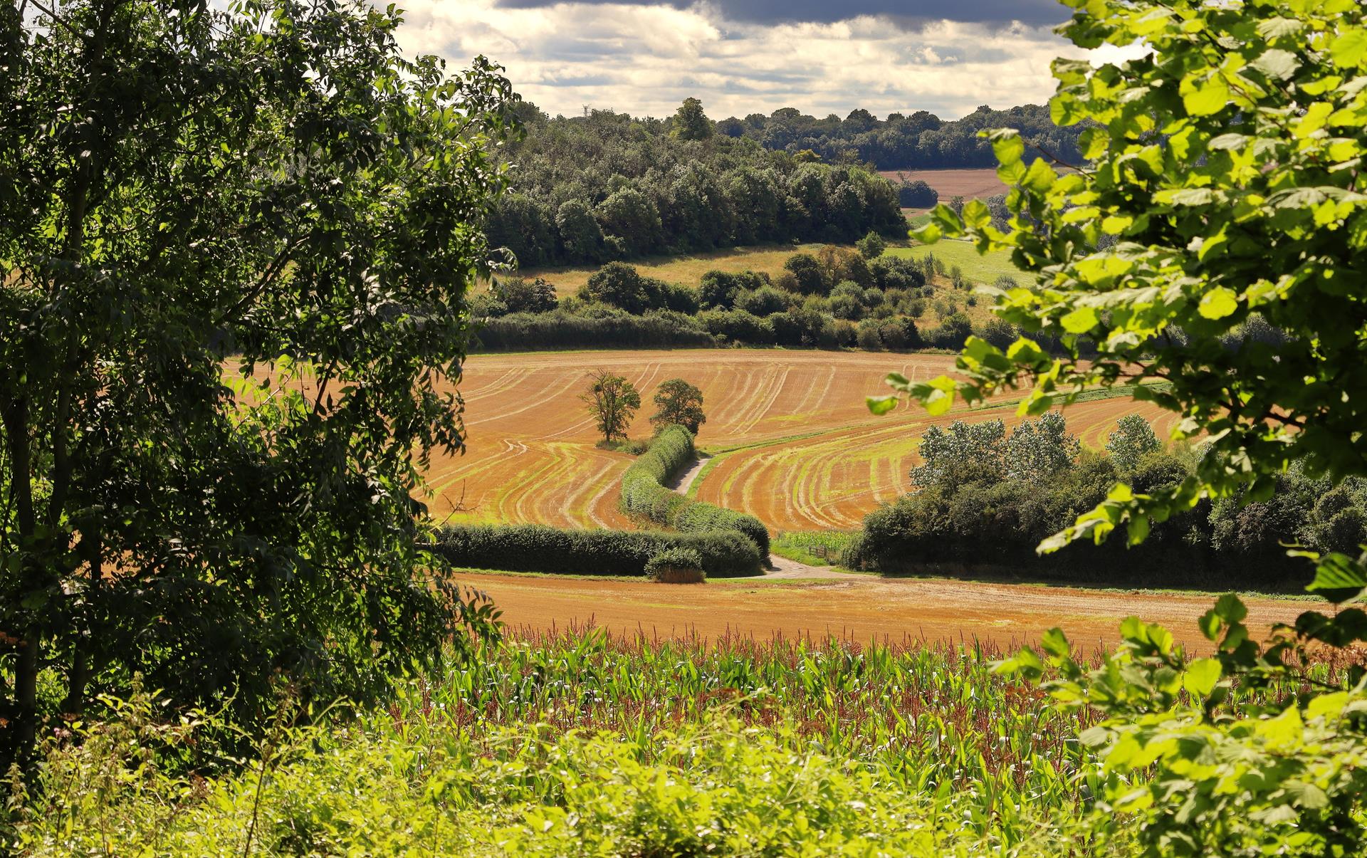 Environmental Land Management and Countryside Stewardship updates - what does this mean for your farming business?