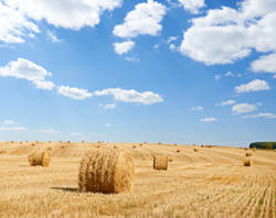 Agricultural Quarterly Update 2023