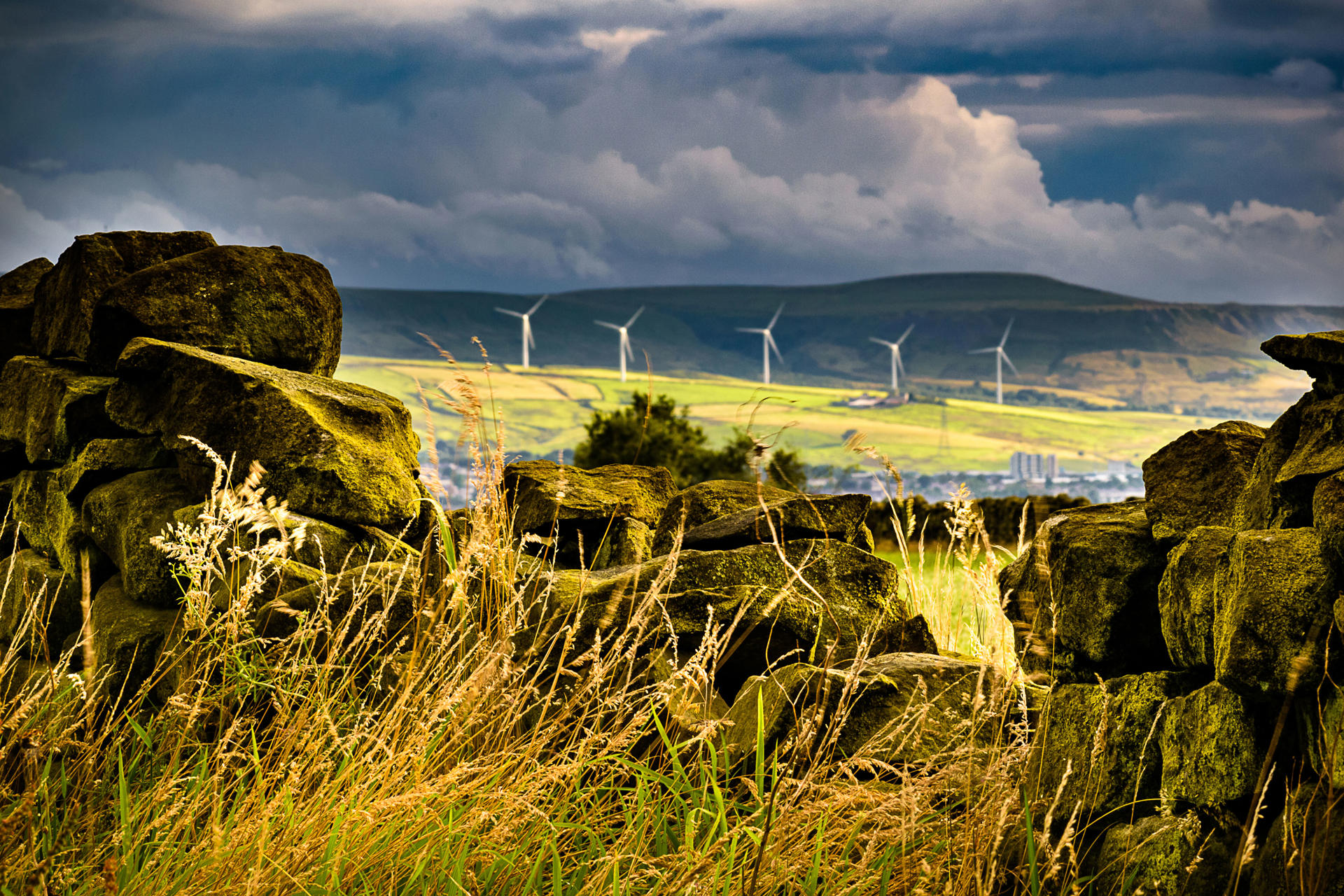 Government to increase Higher Level Stewardship payments and re-open Capital Grants Offer