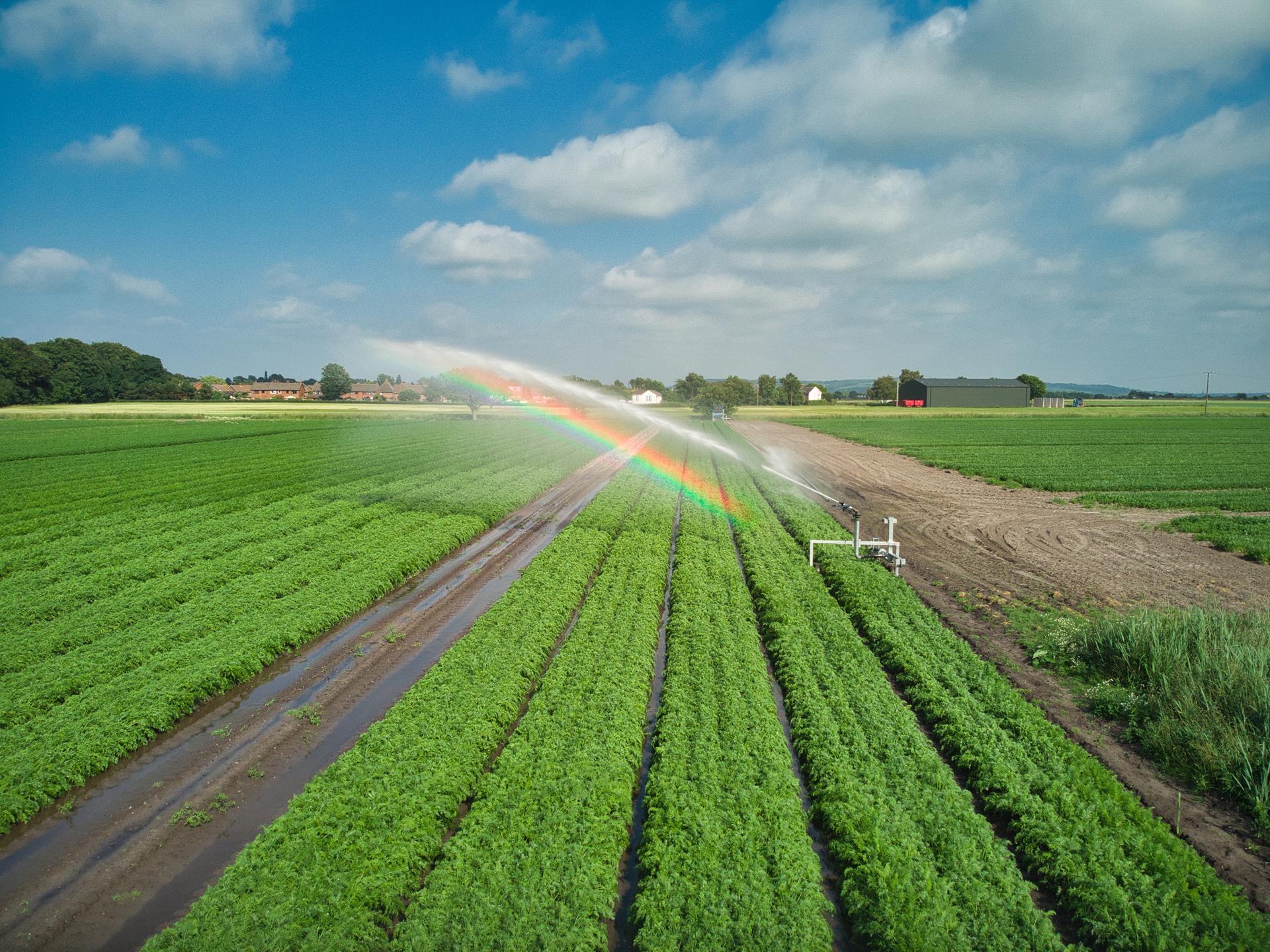 How can farmers get their 'fair share' of water? Dr Steve Moncaster to speak at Norfolk Farming Conference