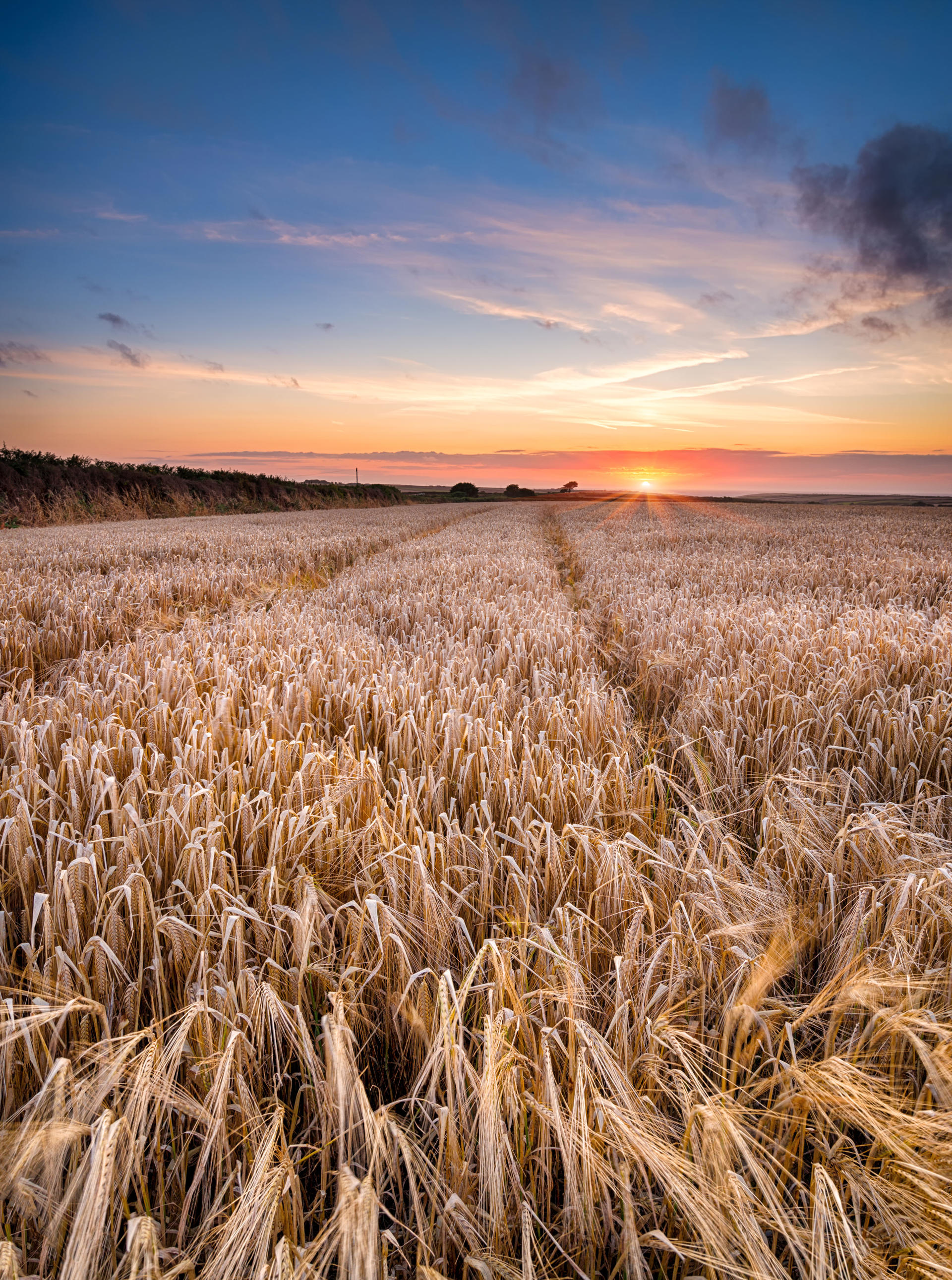 Agricultural Quarterly Update Oct-Dec 2023