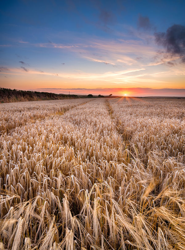 Agricultural Quarterly Update Oct-Dec 2023