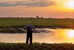 How to maximise the future value of your rural assets with our valuation services